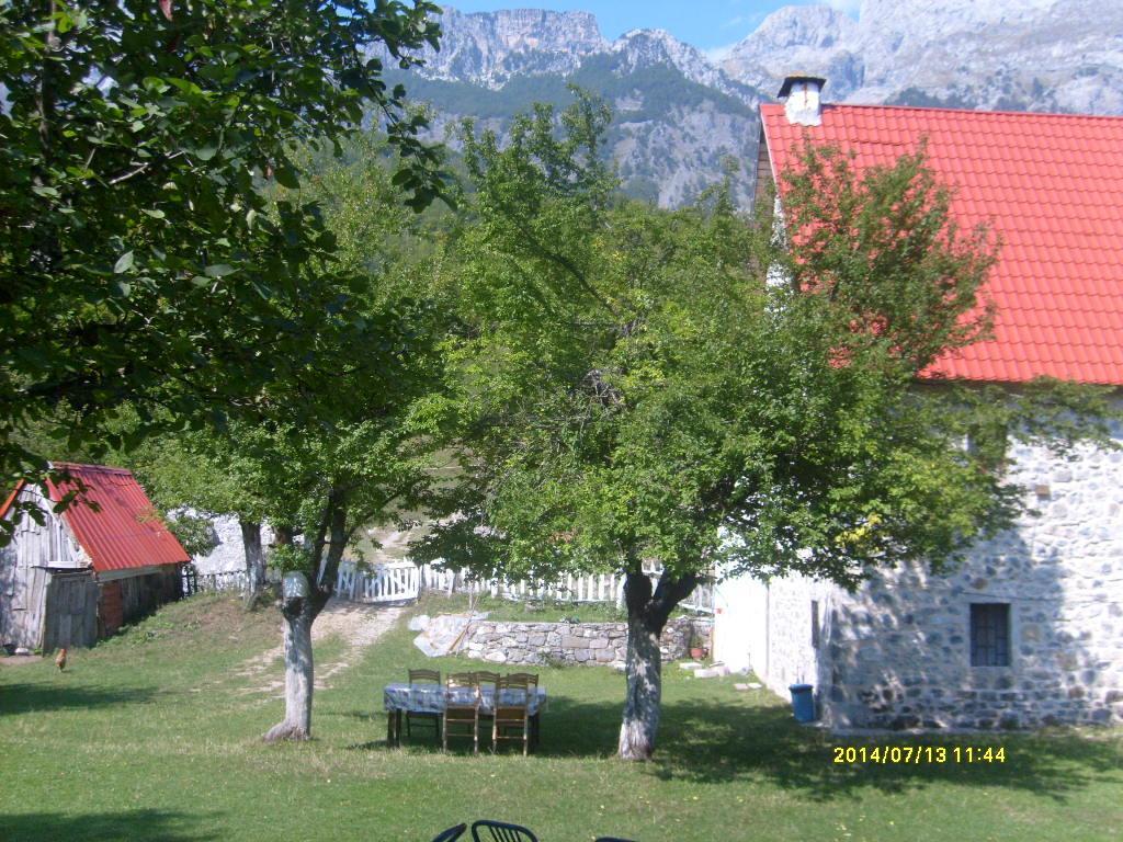 Guesthouse Dritan Tethorja Theth Luaran gambar