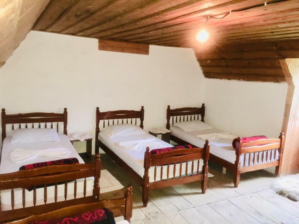 Guesthouse Dritan Tethorja Theth Luaran gambar